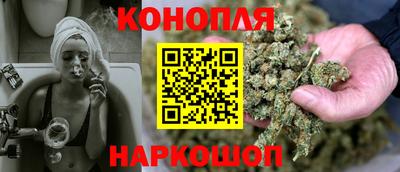 сатива Лесосибирск