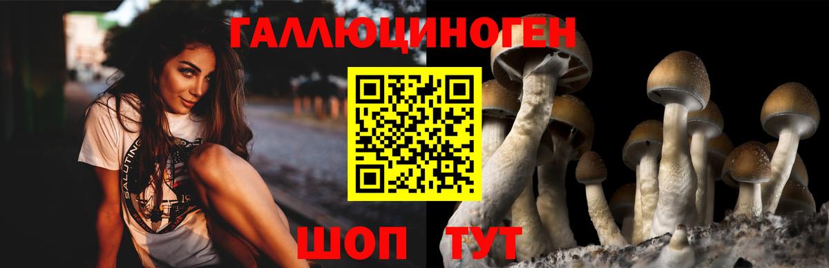 магазин продажи наркотиков  Вход с VPN  Тольятти  Псилоцибиновые грибы ЛСД 